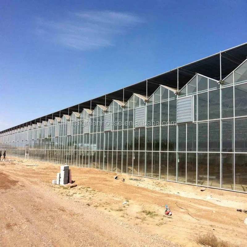 متعددة فترة venlo إطارات صوبة زراعية زجاجية مع التكنولوجيا العالية