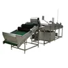 cherry in syrup processing machine