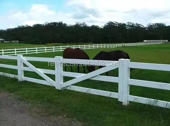 Valla De Pvc Para Arena De Caballos Con Columna Y Riel De Buena Calidad Buy Cerca De Caballo 