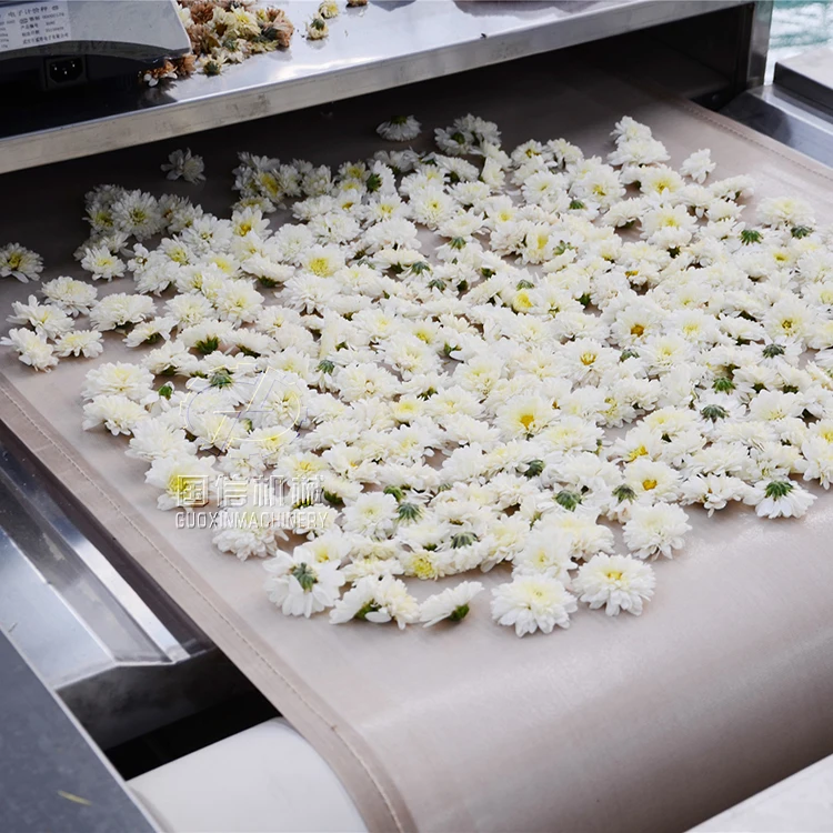 Microwave fixation machine