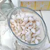 Wholesale bulk large natural Seashell for vases