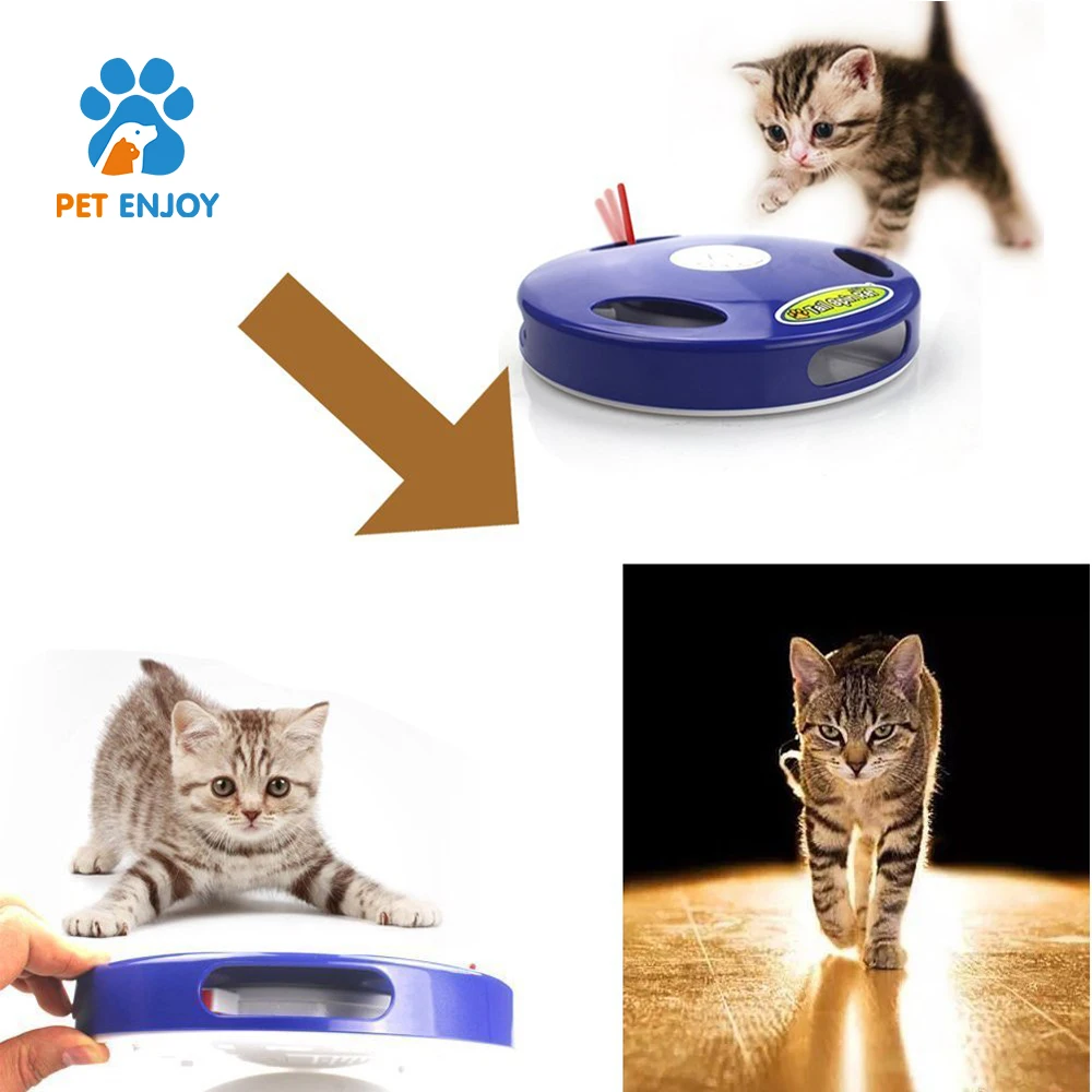 cat toy 5