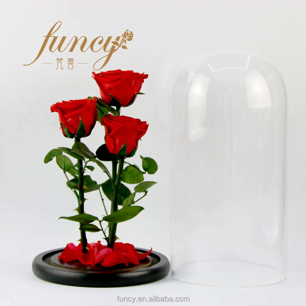 the rose, the rose Suppliers and Manufacturers at