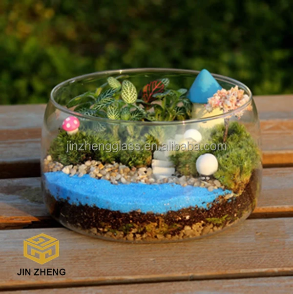 Glass Jar Terrarium Buy Glass Jar Terrarium,Jar Terrarium,Plant