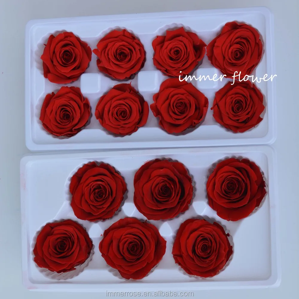 4-5cm eternal rose (20)