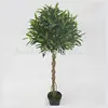 make hand-feeling olive tree olive plant