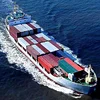 LCL China logistic agent Sea cargo container exports