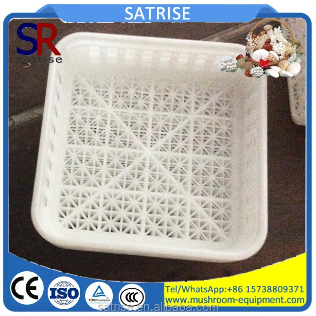 box6.jpg