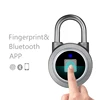Anti Cut Mini Fingerprint Side Lock Iron Padlock 50 mm