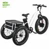 Aluminum alloy frame 20 inch * 4.0 fat tire trike pedal cargo tricycle for sale