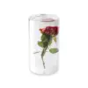 Preserved Real Rose Flower in Cylinder Resin Idea Gifts for the One You Loved