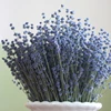 Dried natural Lavender flower bundle Stem French blue
