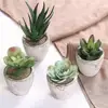 2019New design mini artificial plants Assorted Decorative Faux Succulent wall Artificial cactus Succulent Cactus with Gray Pots