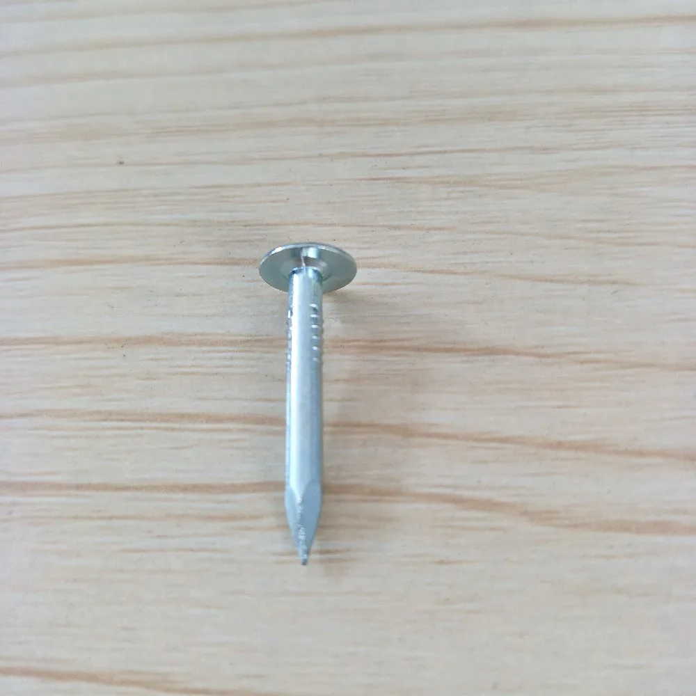 Large Flat Head Zinc Coated Copper Clout Nails Buy Copper Clout Nails