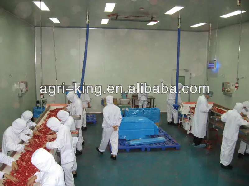 Fresh Holland Potato