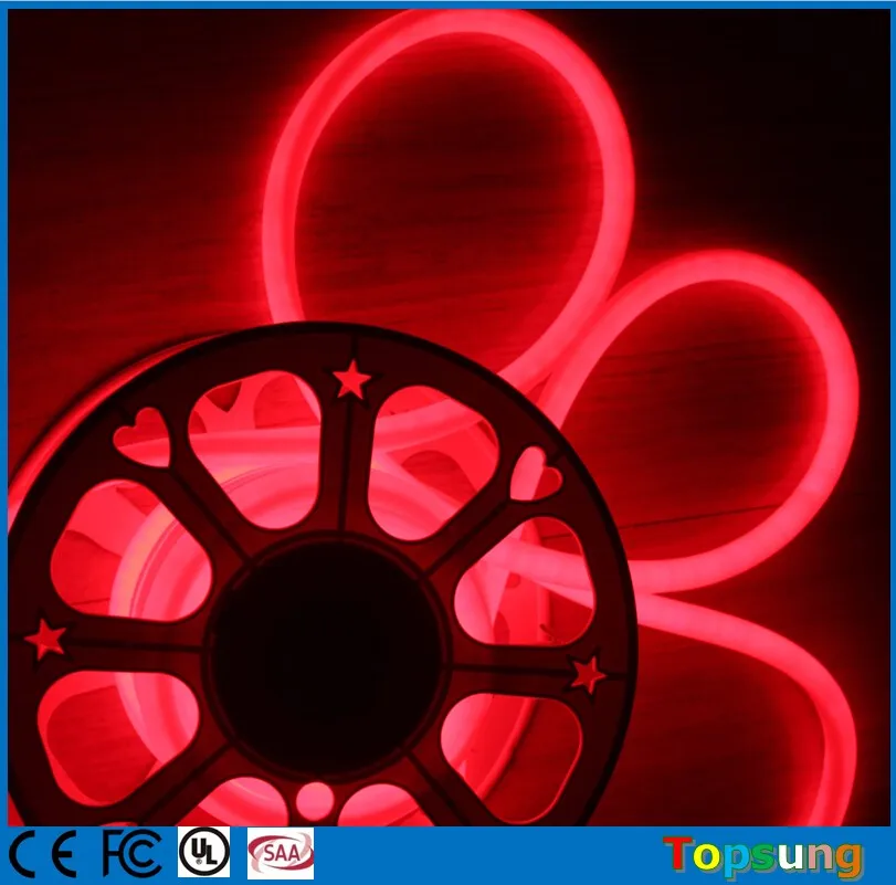 360 led neon red (1).jpg