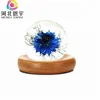 Succinum Soap, Glycerin Transparent Soap with Beautiful Flower inside