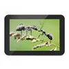 Wall mount Android 7" 8" 10" 12" 13" 15" inch lcd advertising player display
