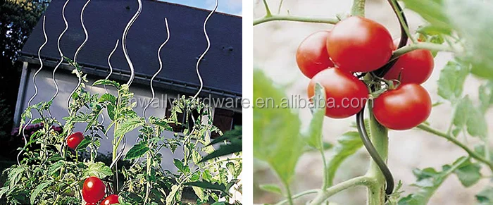 72 High Metal Tomato Spiral Plant Support