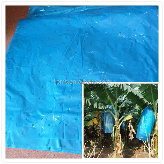 Excellent Quality Banana Bunch Covers For Australia Buy Banana Bunch
