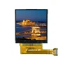 IPS type viewing angle 1.54 inch lcd touch /TFT lcd module panel 240* (RGB )*240 with MCU interface for smart watch