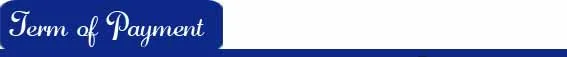 6 term of payment.jpg