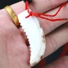 Natural Cypraea Cypraei SLICE CUT SPLIT SEA SHELL COWRIE Seashell Conch Cypraeidae Pendant Charm Beads Teeth Ocean Style