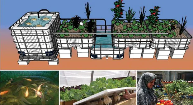 aquaponics2.jpg
