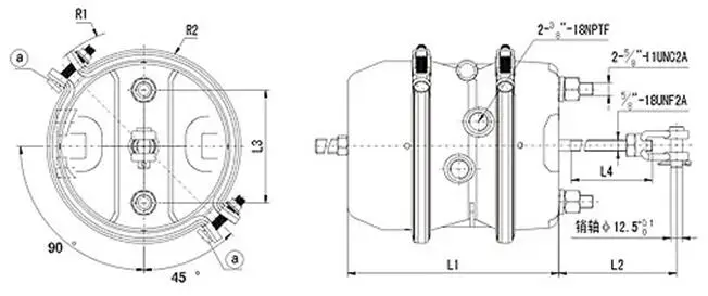 Spring Chamber Drawing