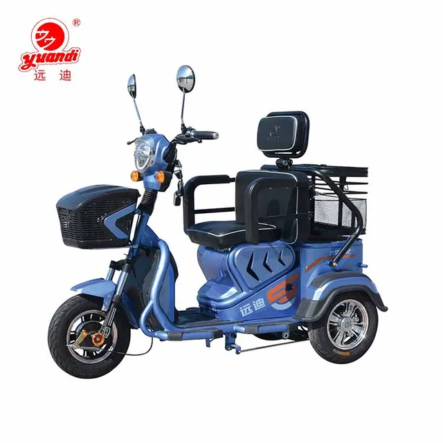 tricycle for disabled adults