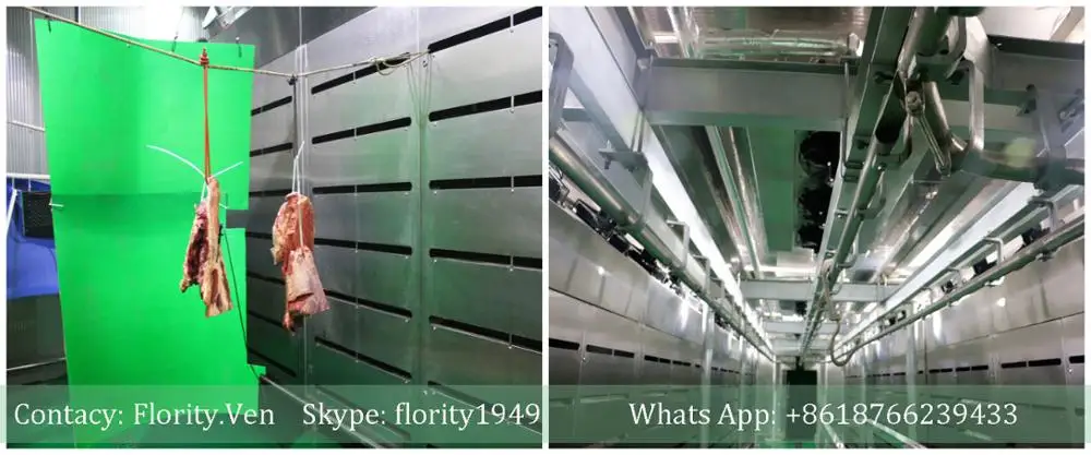 Chicken thawing chamber for defrosting machine frozen meat microwave thawing machine equipment