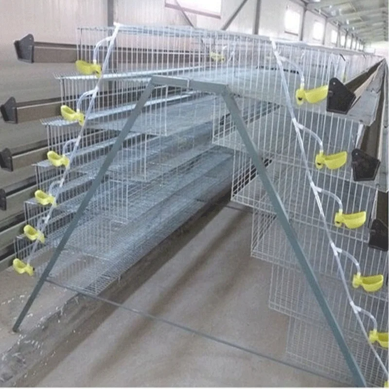 Ssd High Quality Quail Battery Cages Automatic Quail Cage Buy Quail Cage,Automatic Quail Cage