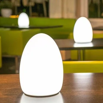 Egg shaped light