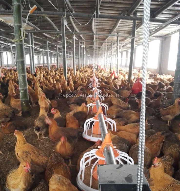 Baiyi Automatic Poultry Feeder For Broiler And Breeder Buy Automatic Poultry Feeder For Broiler And Breeder Animal Feeding System For Broiler Poultry Animal Feeding System For Broiler Product On Alibaba Com