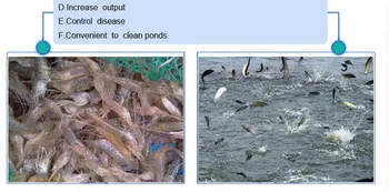 fish pond liner.jpg