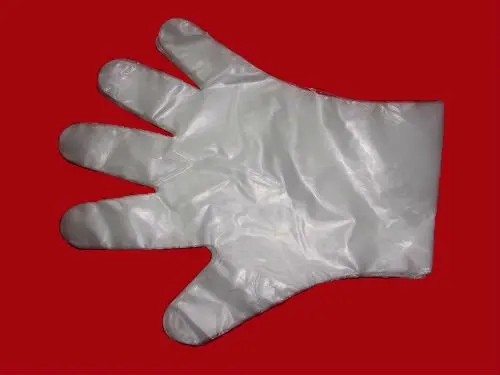 gloves.jpg