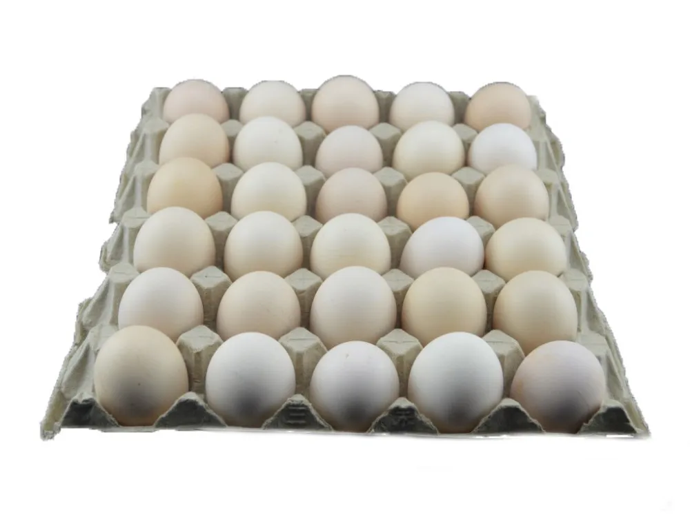 Яйцо куриное оптом. White Egg Tray 15. Лоток для яиц 735 х 550 х 35мм инкубатор. Яичные лотки. Лоток для яиц 10 шт.