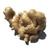 200g Dry Ginger Root Export Prices