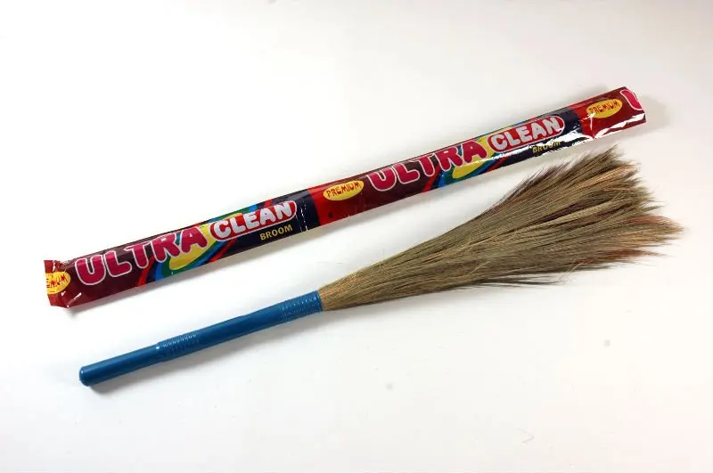 Image result for indian broom