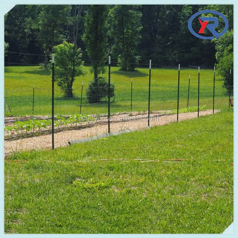 Import China Factory Vineyard T Post For Garden Fencing Buy T Post