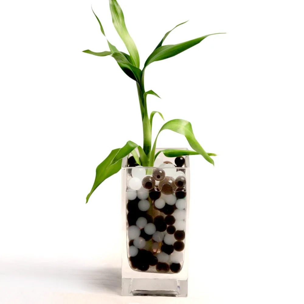 Factory supply attractive price pearl shape big crystal soil water beads for lucky bamboo
