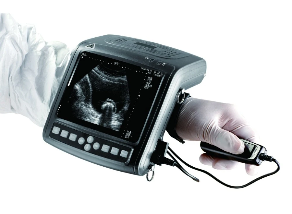 For Veterinary Animals Pregnant Fish Ultrasound Scanner Bs-5200v - Buy ...