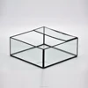 China Home Garden Wholesale Tabletop Succulent Plant glass cube Planter vase Flower Pot Terrarium for Fairy Garden Greenhouse