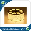 120W DC 24V Double Row SMD2835 1200 Units LEDs Flexible Warm White