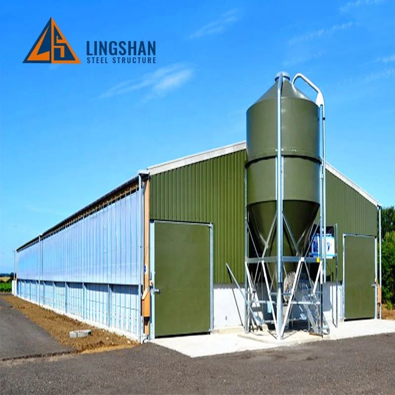 Low Cost Modern Prefabricated Poultry Farm Building Steel Chicken House