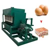 Automatic Egg Tray Making Machine / Pulp Molding Egg Tray Making Machine / Egg Tray and Egg Box Making for sell 0086-13676938131