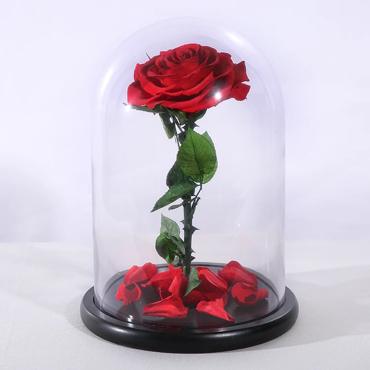 20*30cm Quality Decorative Forever Eternal Everlasting Preserved Rose ...