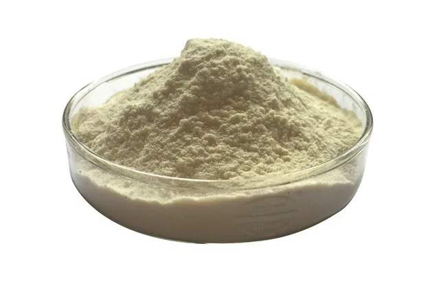 100% natural pancreatic enzymes / pancreatin