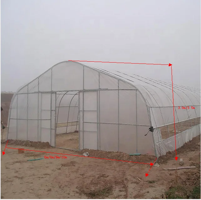 greenhouse 2