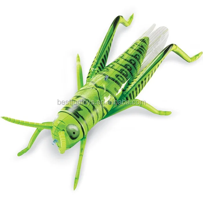 Eco-friendly Pvc Inflatable Grasshopper Giant Plasticjumping Small